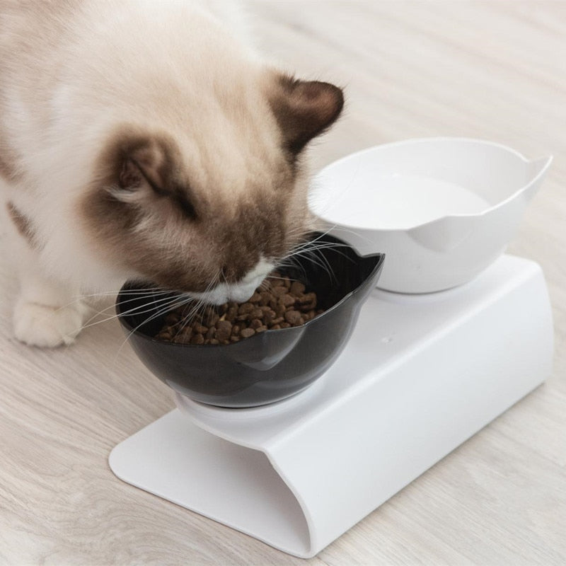קערת אכילה אורתופדית נגד הקאות לחתולים