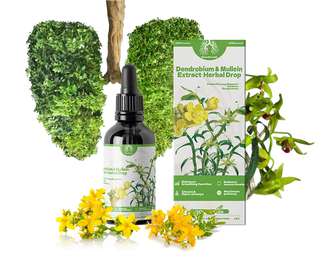 BestBreath® תמצית צמחים דנדרוביום ומוליין - תמיכת ריאות עוצמתית ניקוי ונשימה